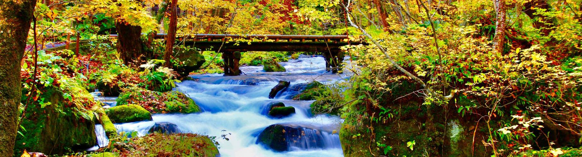 A view from Oirase Stream during Autumn