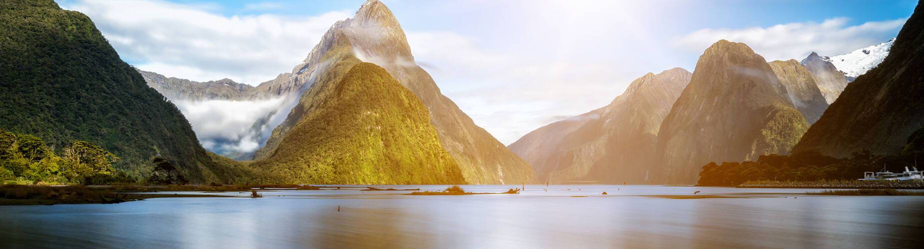New Zealand Cruises