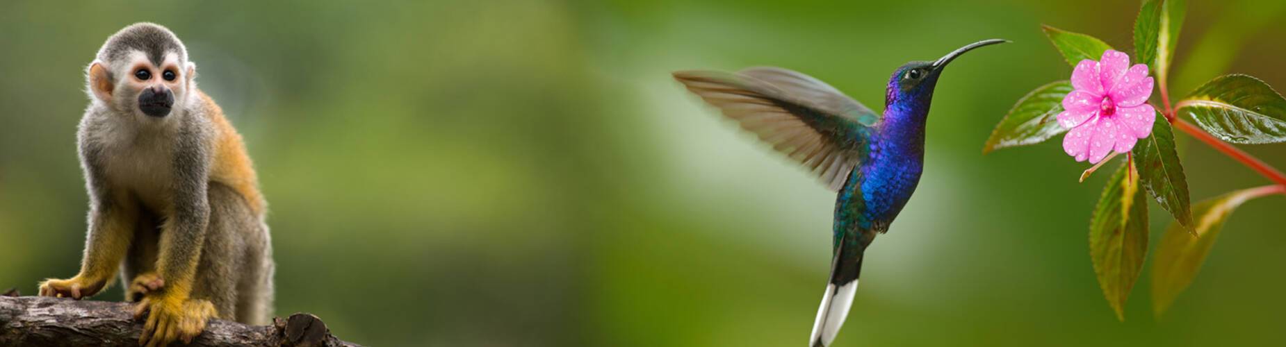Costa Rica