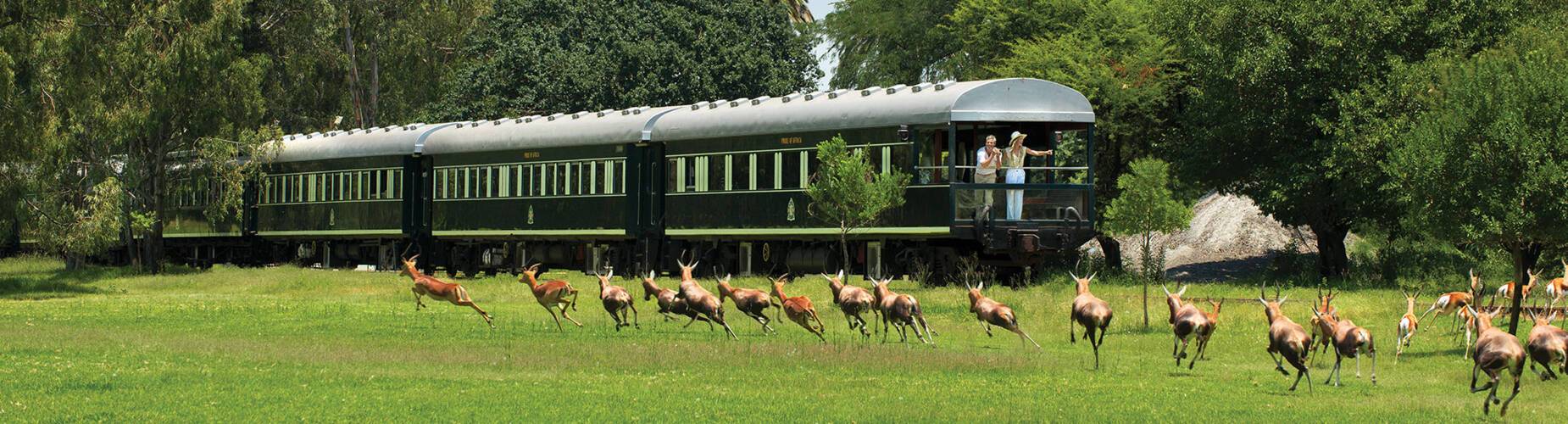 Rovos Rail travelling through Hwange National Park