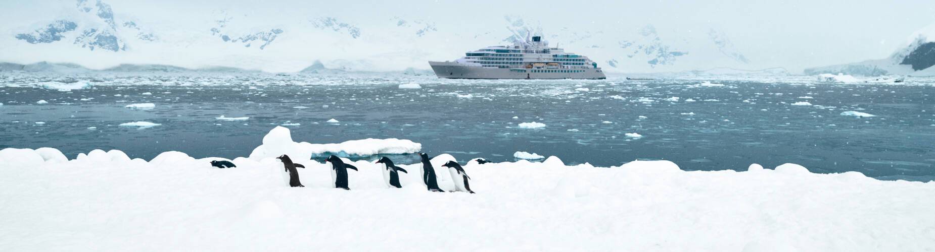 Silver Endeavour Antarctica