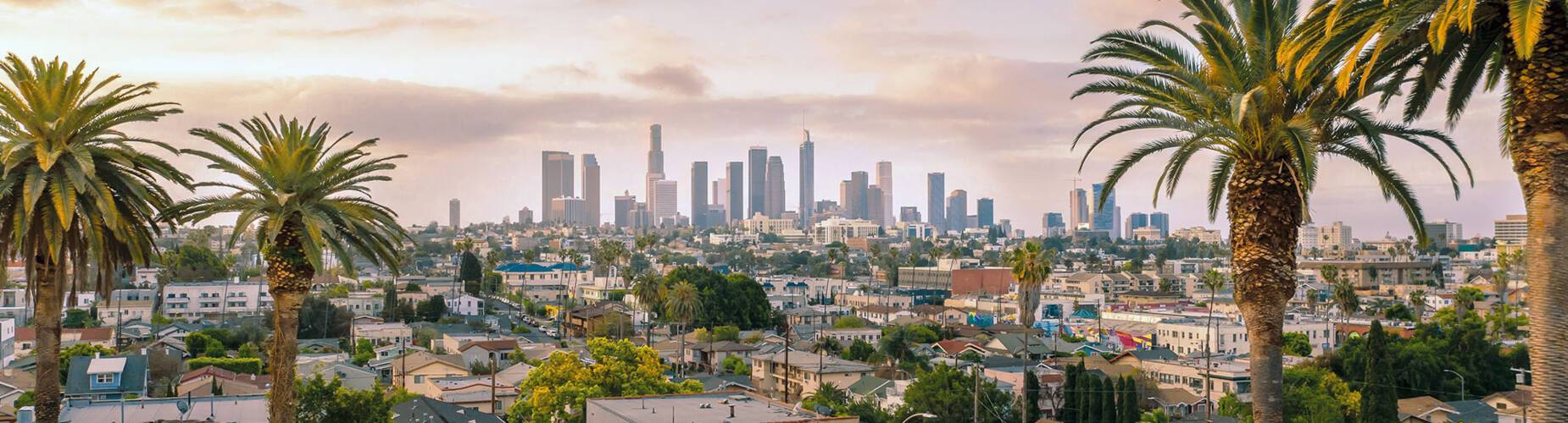 A panoramic view of Los Angeles' cityscape