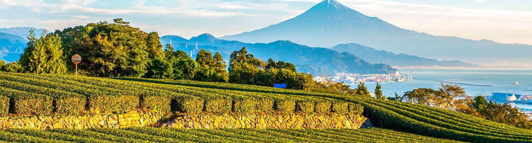 Sunrise over Mount Fuji