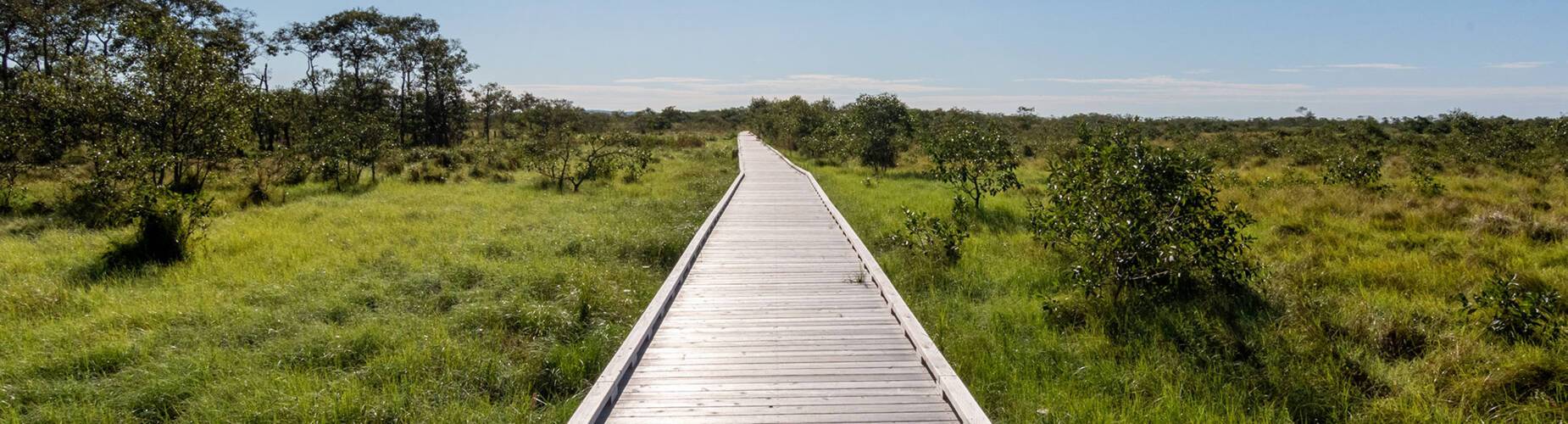 A view of the boardwalk in Kushiro Shitsugen National Park