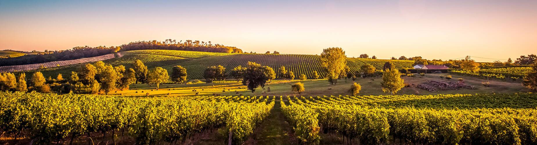 Garonne River Cruises