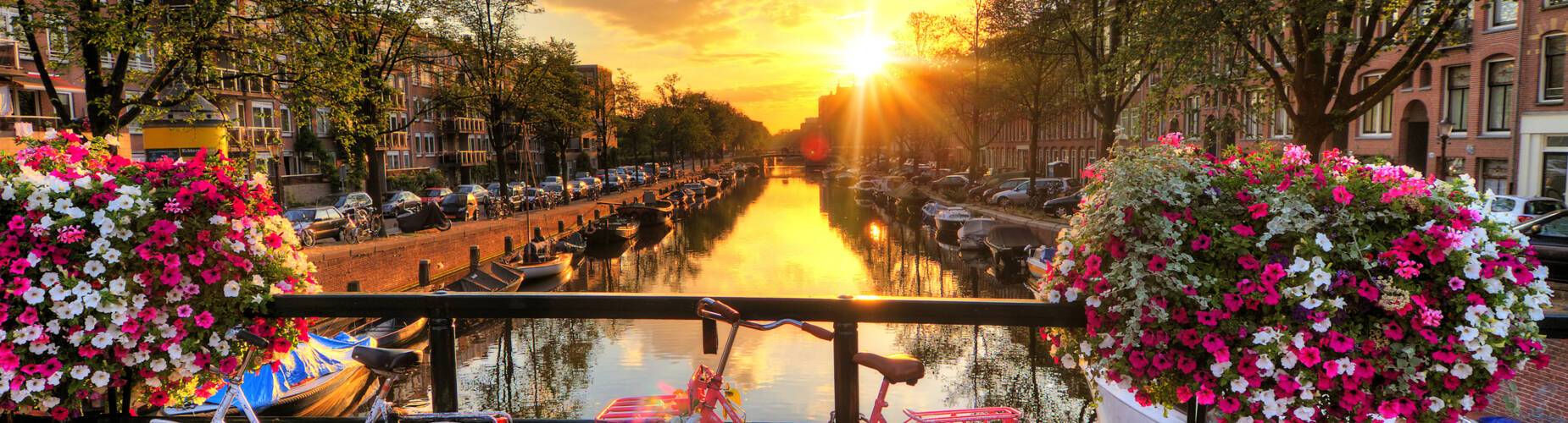 Bikes leaning against a fence in Amsterdam