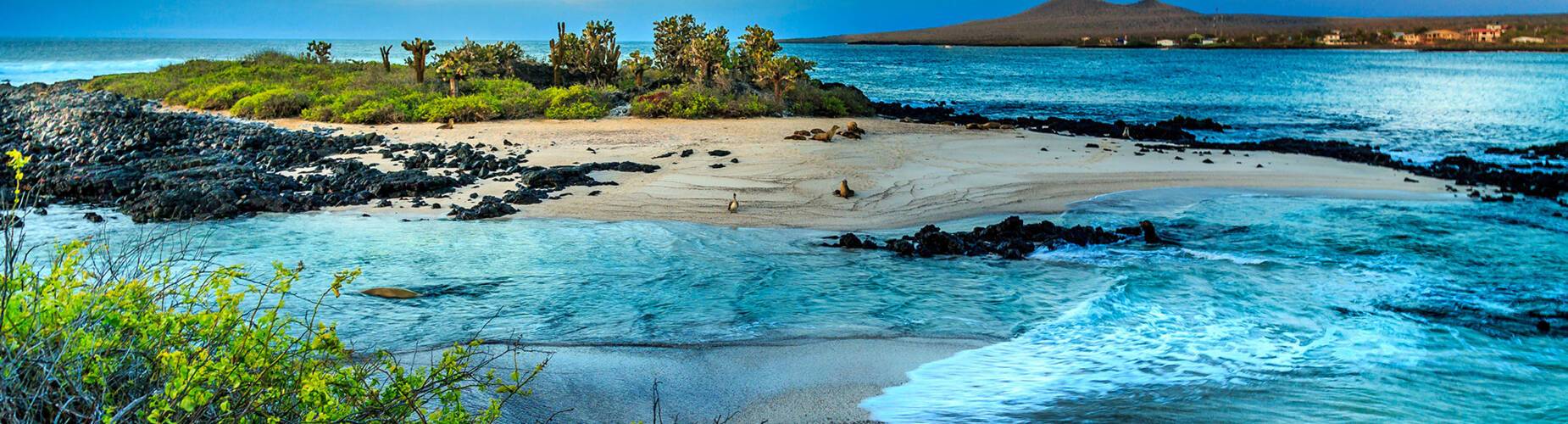 Galapagos Islands, Ecuador