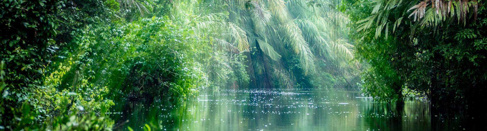 Cruises to Costa Rica