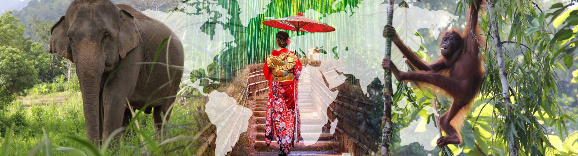 Tailor Made By ROL Cruise