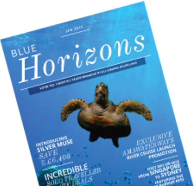 Blue Horizons January 2017