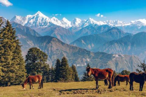 Himalayan foothills