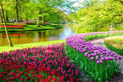 Keukenhof Gardens