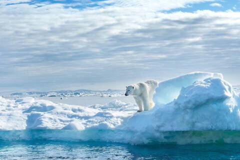 Kvitoya, Svalbard