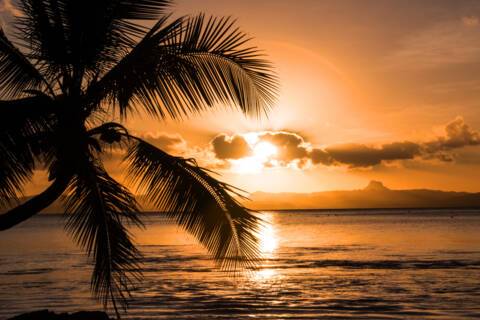 Savusavu, Fiji
