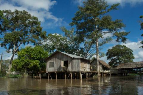Ucayali River