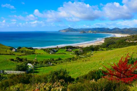 Great Barrier Island