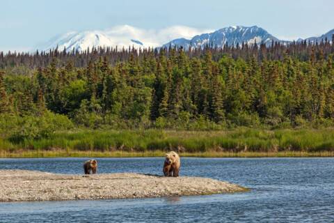 Katmai, Alaska