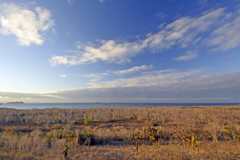 Dragon Hill (Santa Cruz)