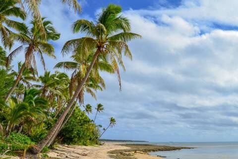 Pangai, Tonga