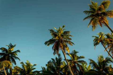 Alphonse Atoll, Seychelles