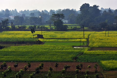 Matiari, India