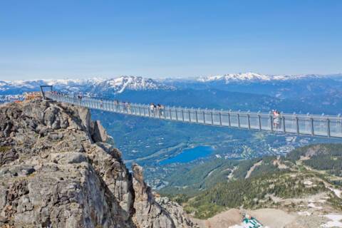 Whistler suspension bridge