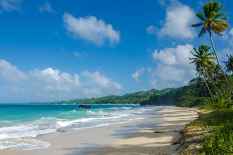 Samana