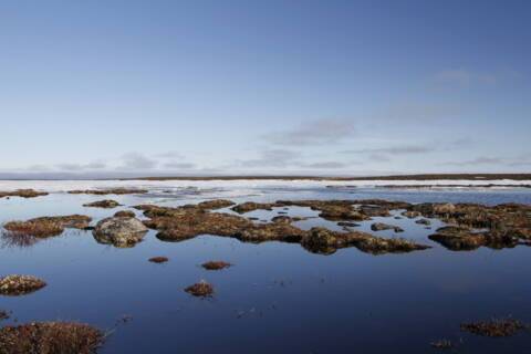 Jenny Lind Island, Nunavut, Canada