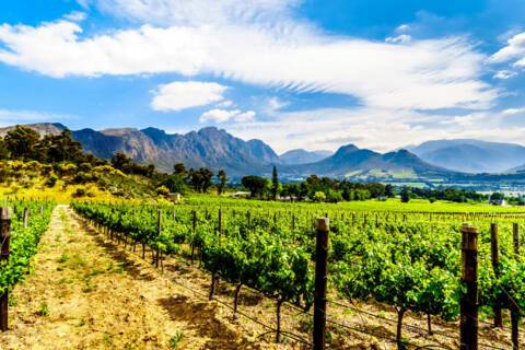 Franschhoek