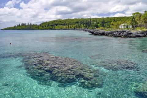 Tadine, New Caledonia
