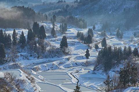 A view of a snowy Niigata