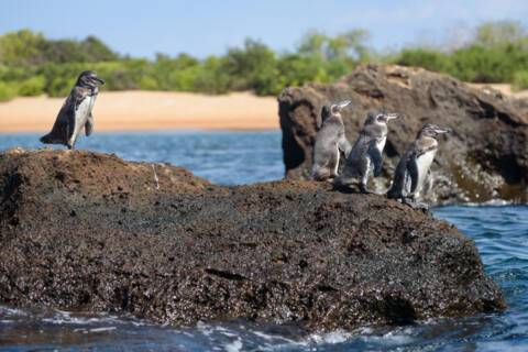 Santiago Island, Ecuador