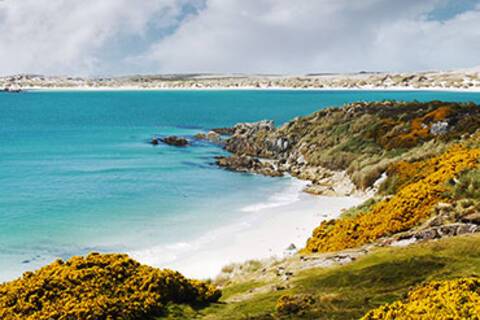 A panoramic view of Stanley