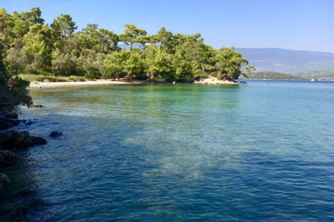 Didim