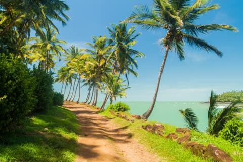 Ile Royale, French Guiana