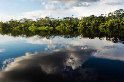 Pacaya River, Ucayali River, Tapiche River