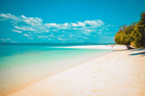 Tanimbar Island