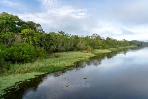 Maranon River