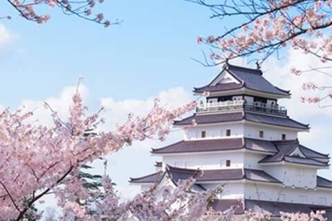 Tsuruga Castle
