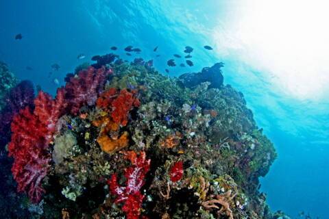 Ambon, Indonesia