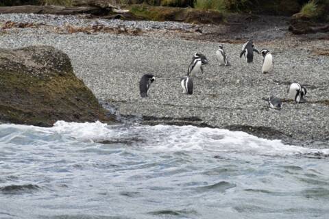 Tucker Islets