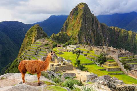 Machu Picchu