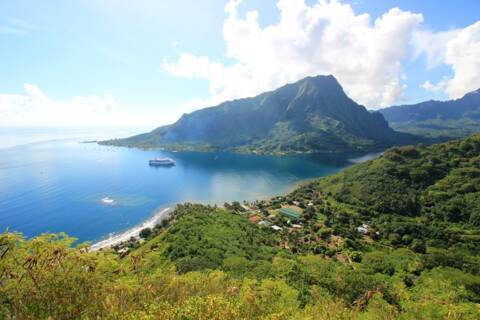 Opunohu Bay, Moorea
