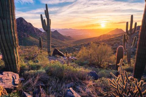 Scottsdale Area, Arizona, USA
