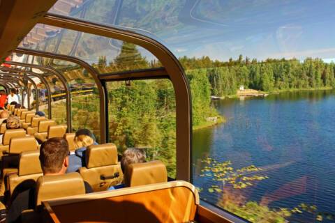 Wilderness Express
