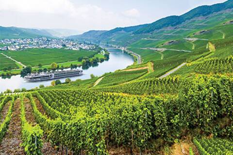 Scenic Ruby, Scenic River Cruises