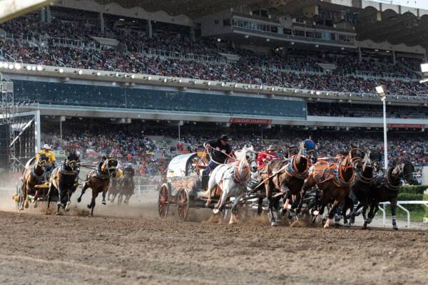 Chuckwagon Races