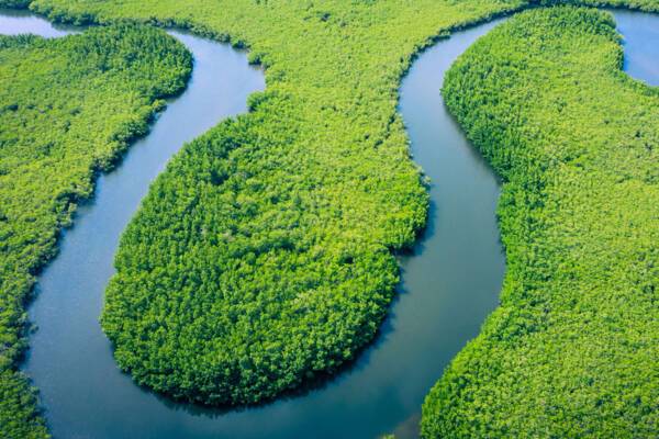 Amazon River