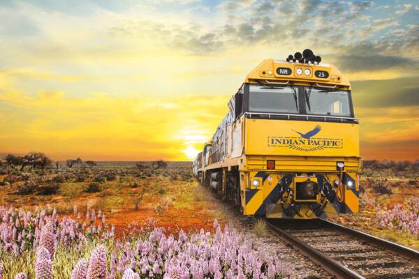 Indian Pacific Train