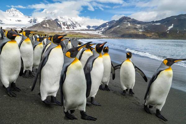 Antarctica